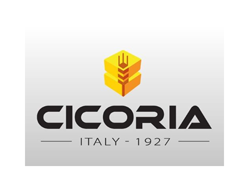 cicoria